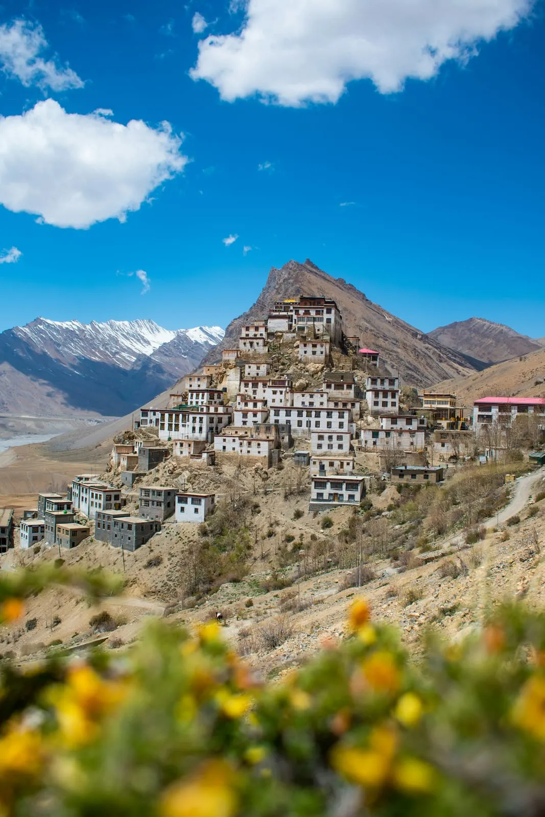 Key Monastery above the Spiti valley